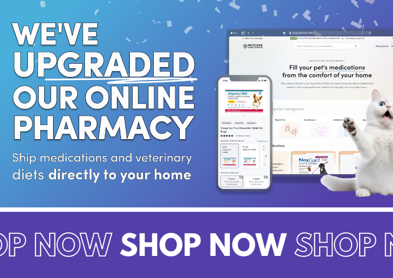 Carousel Slide 1: Shop our online pharmacy >